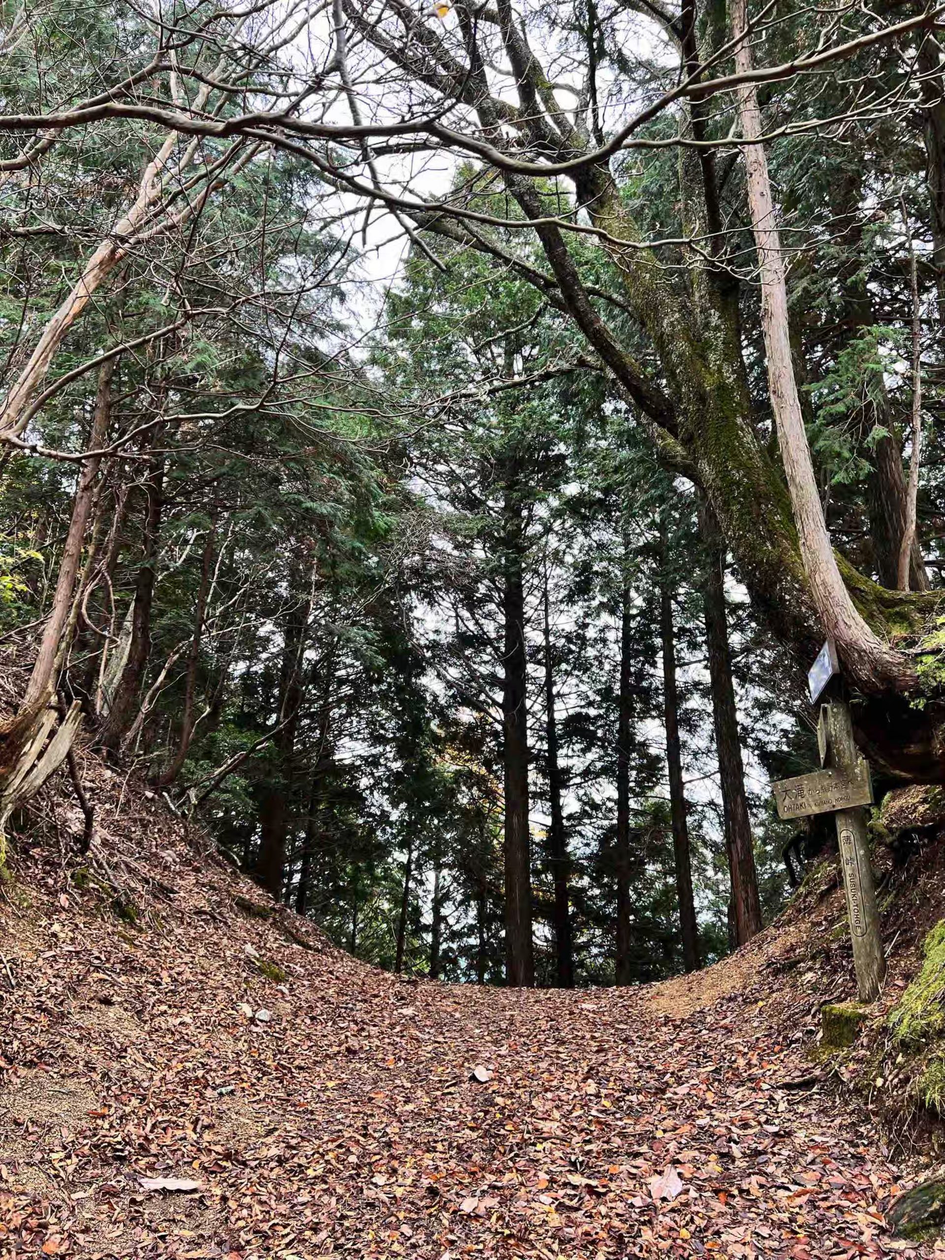 2022 Hiking lite 之熊野古道小边路|